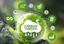 Thị trường carbon 2025: Doanh nghiệp cần làm gì?