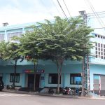 gen-h-ẢNH ĐD