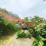 Sạt lở núi lấp nhà dân ở thôn Huy Mân, xã Sơn Tây Thượng, Quảng Ngãi