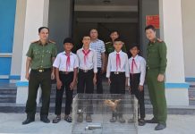 Đà Nẵng: Một cá thể Cu Li quý hiếm được giao nộp để thả về rừng tự nhiên.