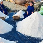Hiện vật muối Sa Huỳnh được trưng bày tại triển lãm